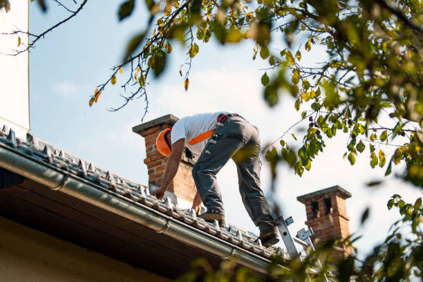 Best Roof Replacement Cost  in Appomattox, VA