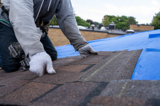 Best Residential Roofing Contractor  in Appomattox, VA