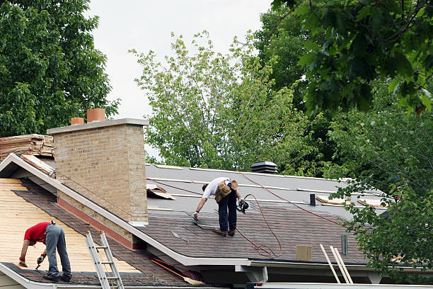 Best Roof Maintenance Services  in Appomattox, VA
