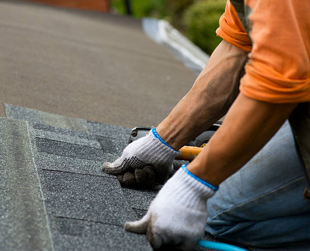 Best Flat Roof Repair Services  in Appomattox, VA