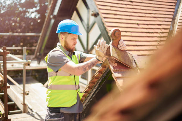 Best Roof Leak Repair  in Appomattox, VA